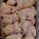 #0 prew - Тушка цыпленка бройлера охлажденная оптом